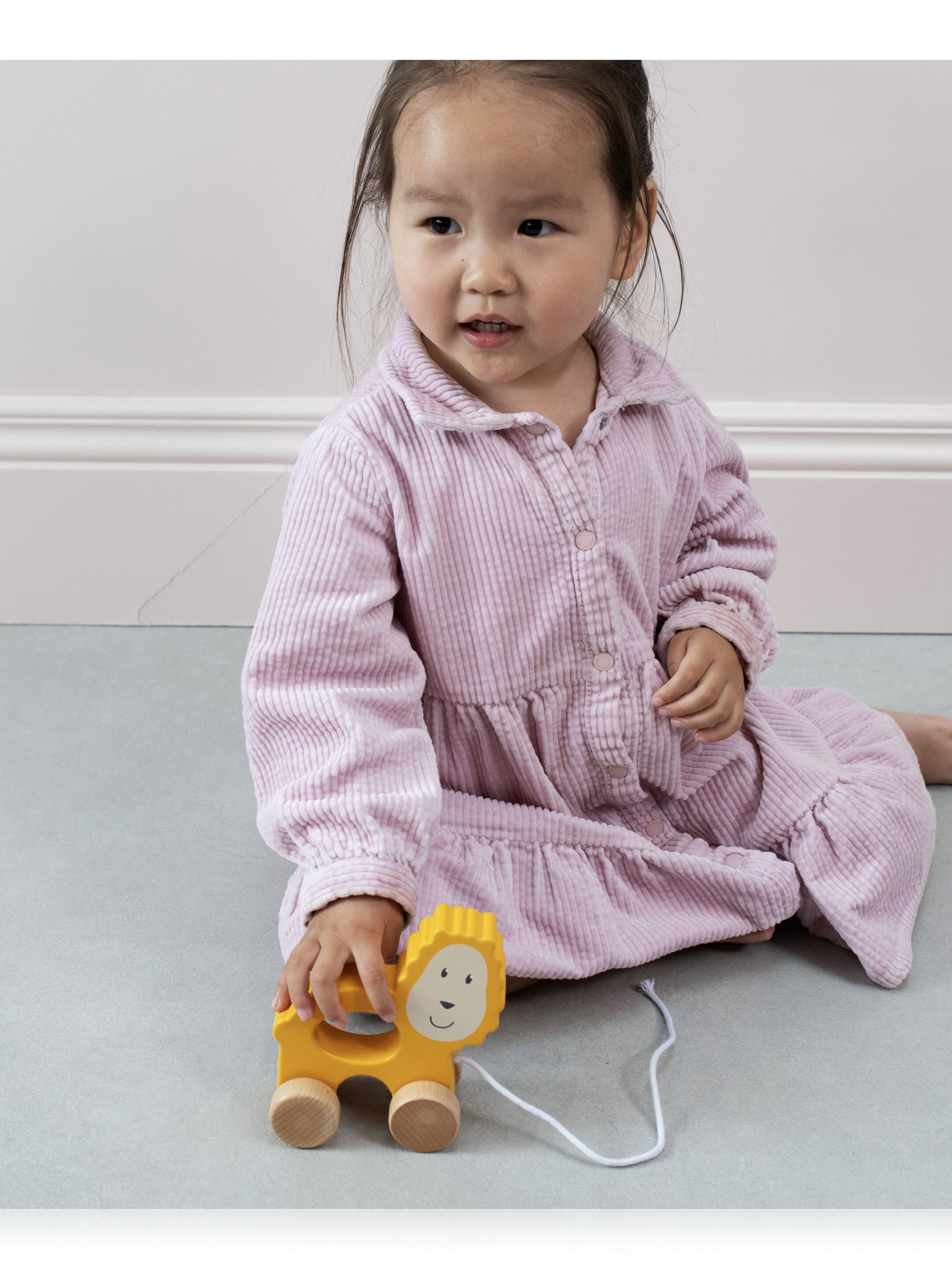 Matchstick Monkey Playtime Pull Along Animal - Ludo Lion image number 1