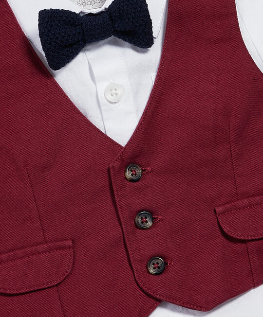 Shirt & Berry Waistcoat Set image number 5