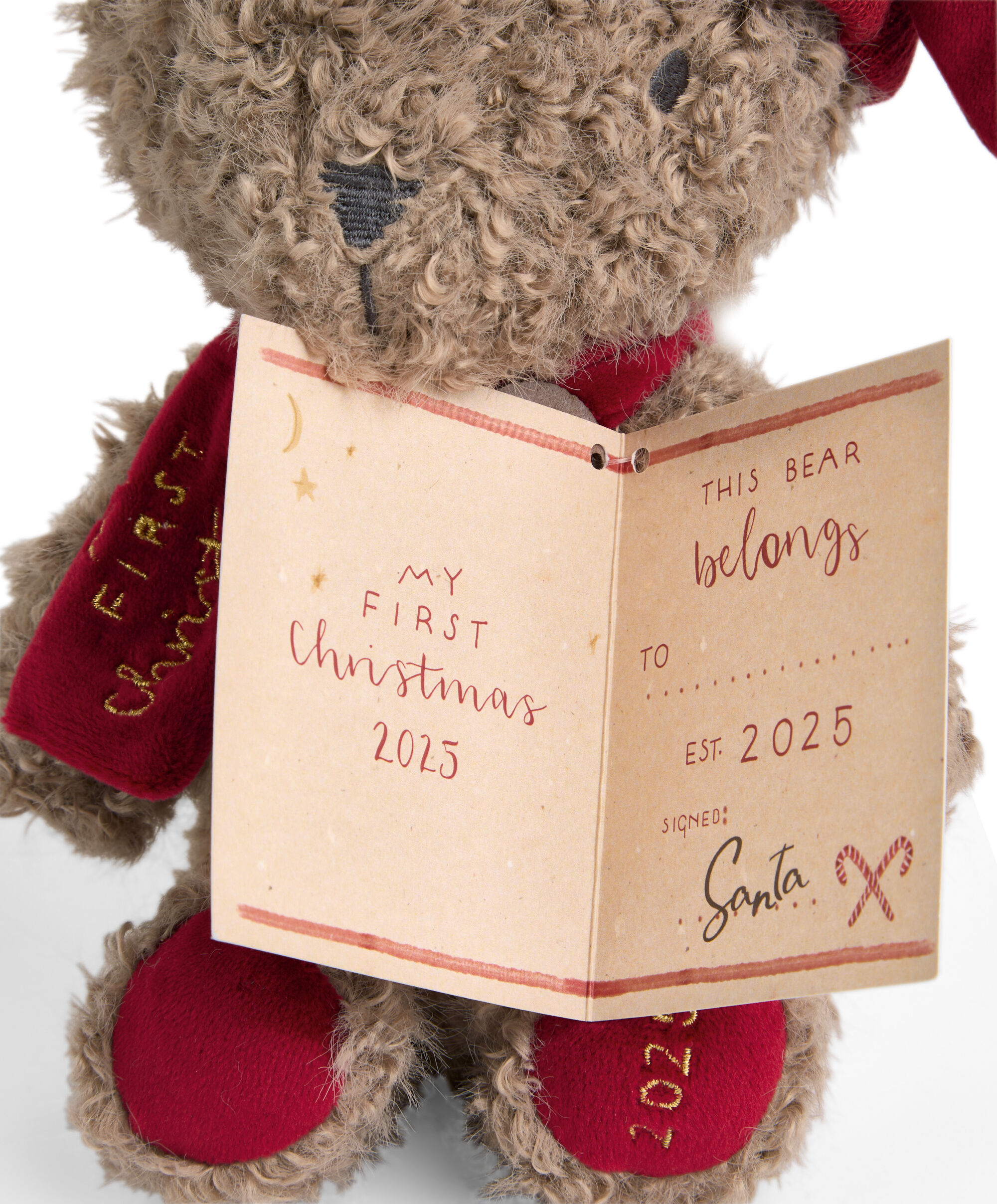 Soft Toy - Xmas Bear 2025 image number 4