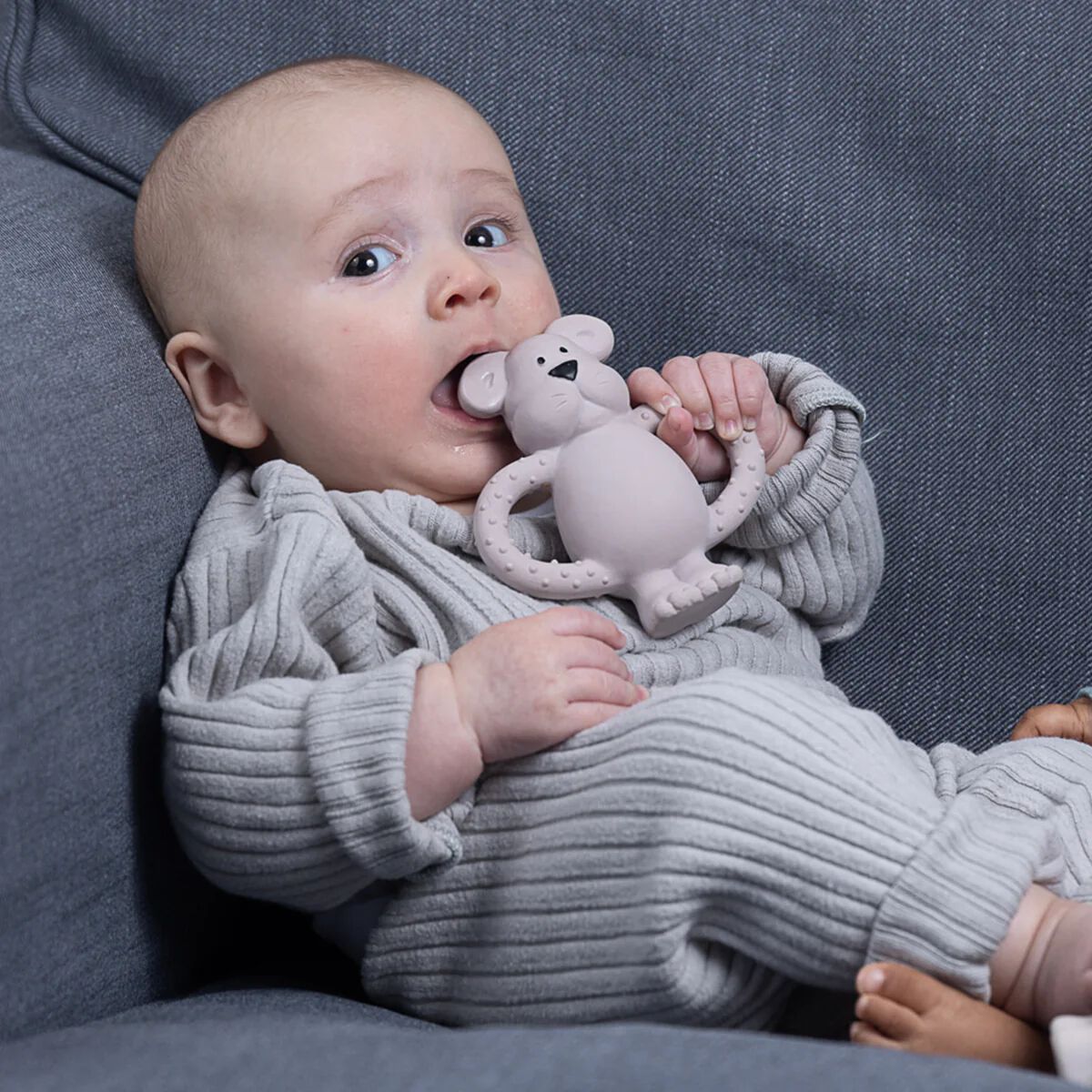 Albert Bear Natural Rubber Teether - Blush image number 2