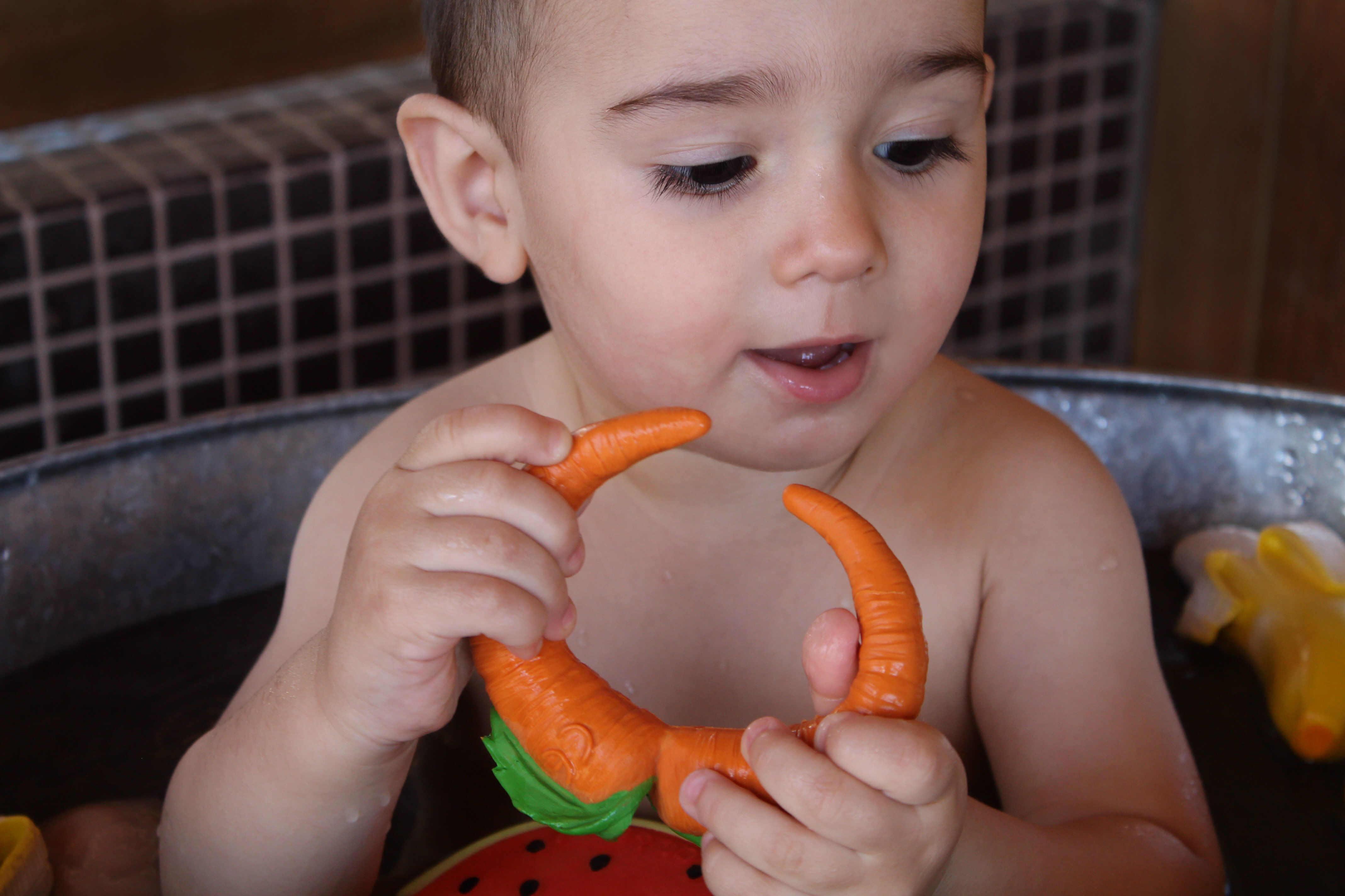 Oli & Carol Cathy The Carrot image number 6