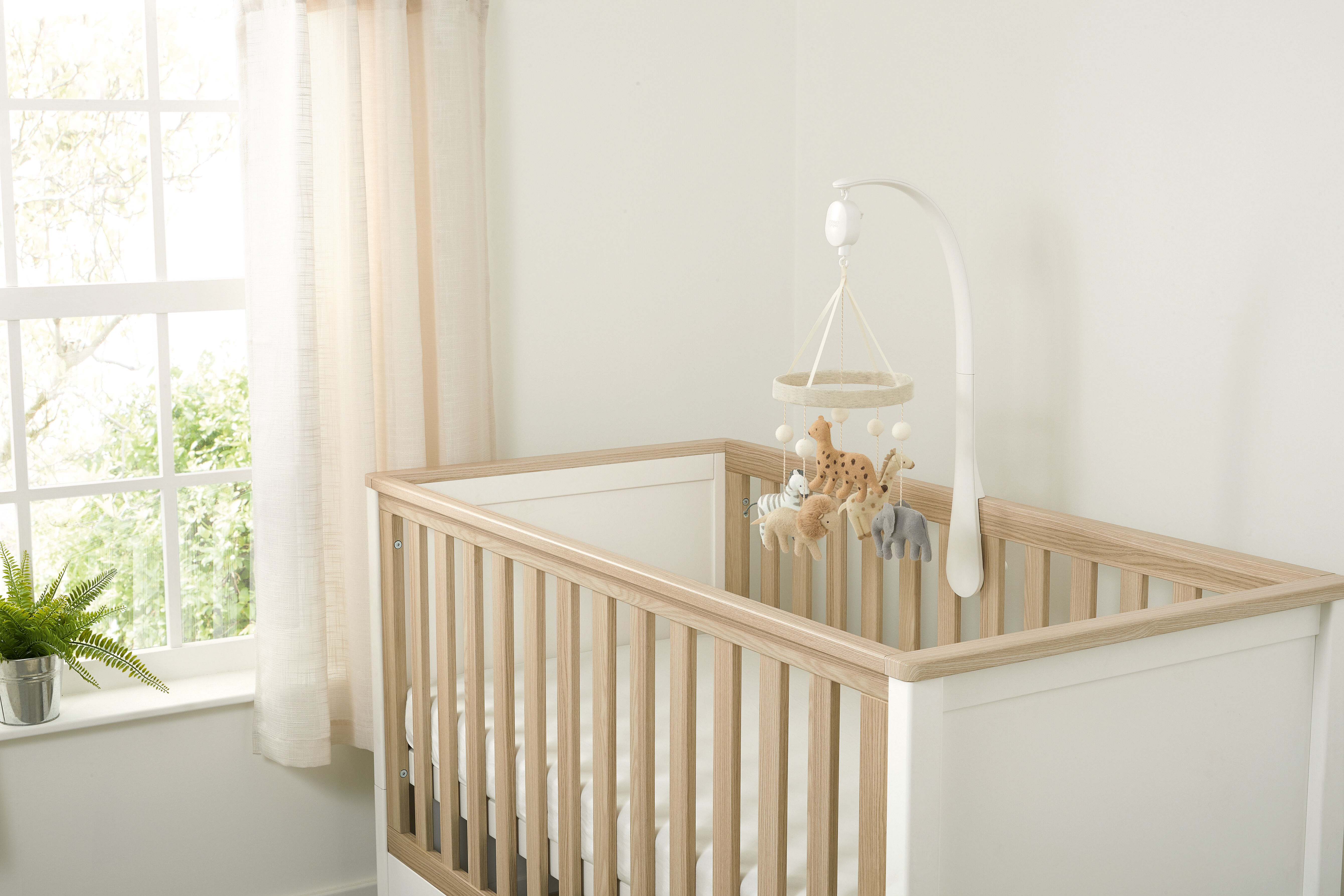 Cot Mobile - Born To Be Wild image number 2