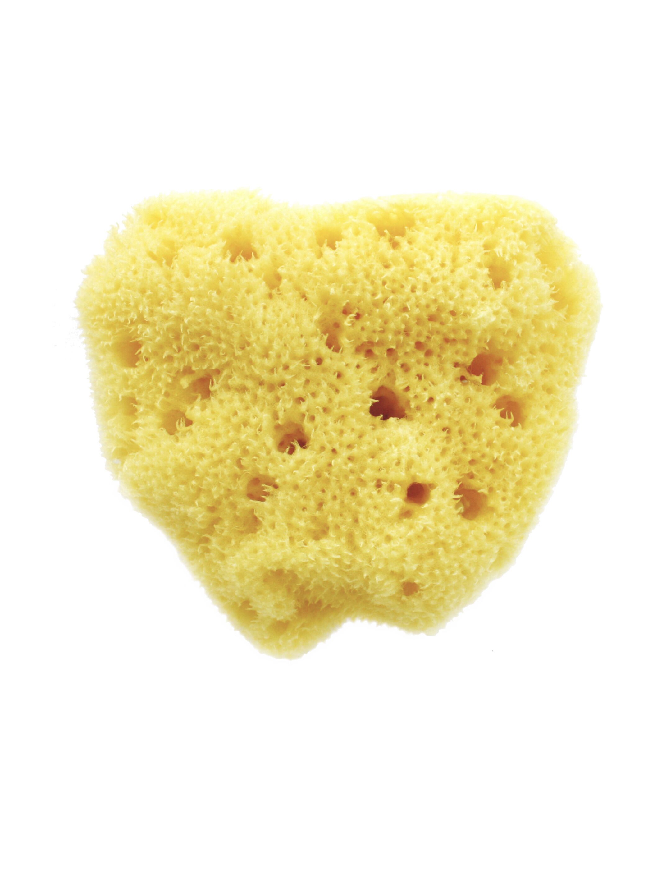 Babu Bellini Premium Fine Silk Sea Sponge 10cm - Natural Baby Bath Sponge image number 1