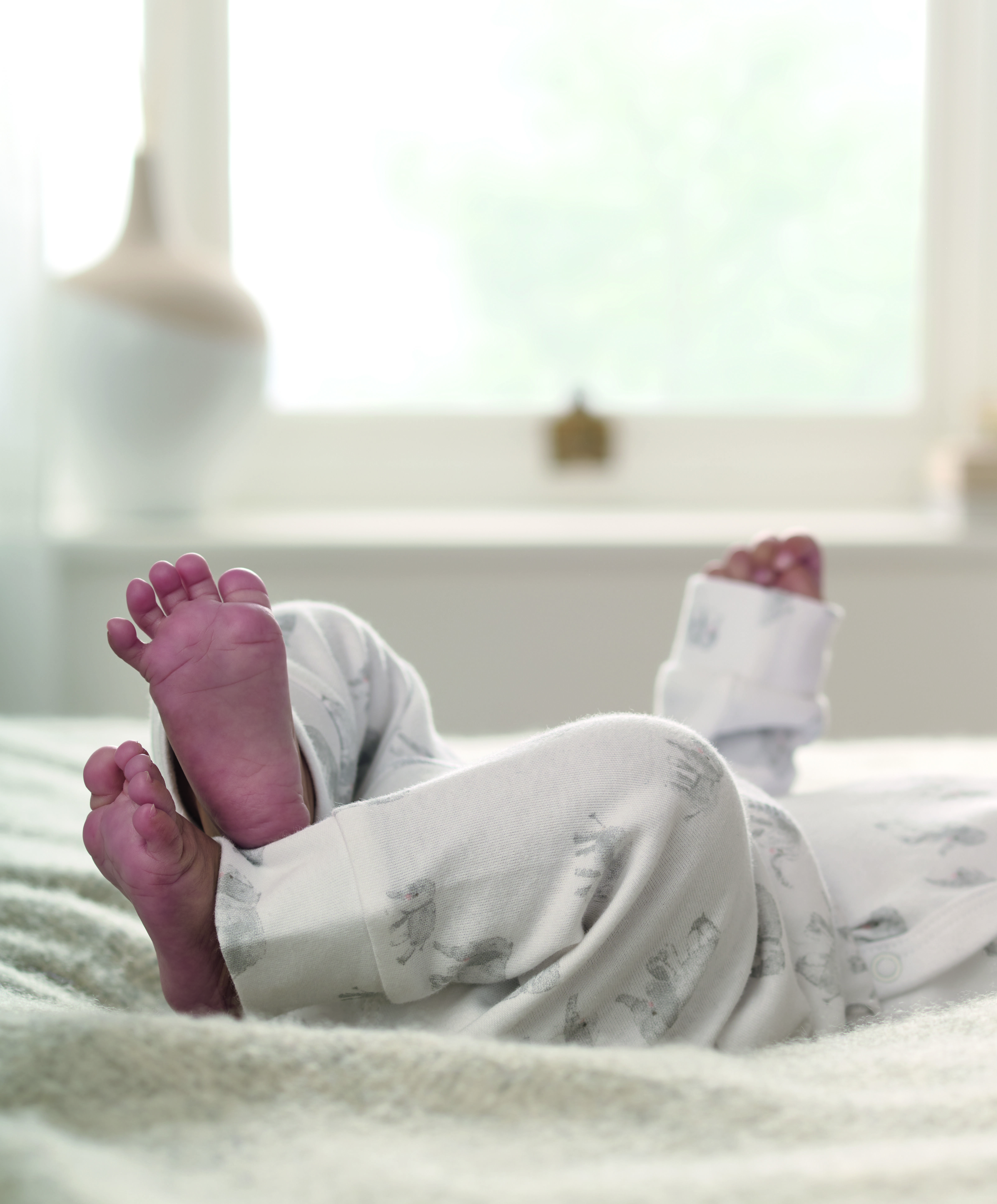 2 Piece Elephant Jersey Set image number 6