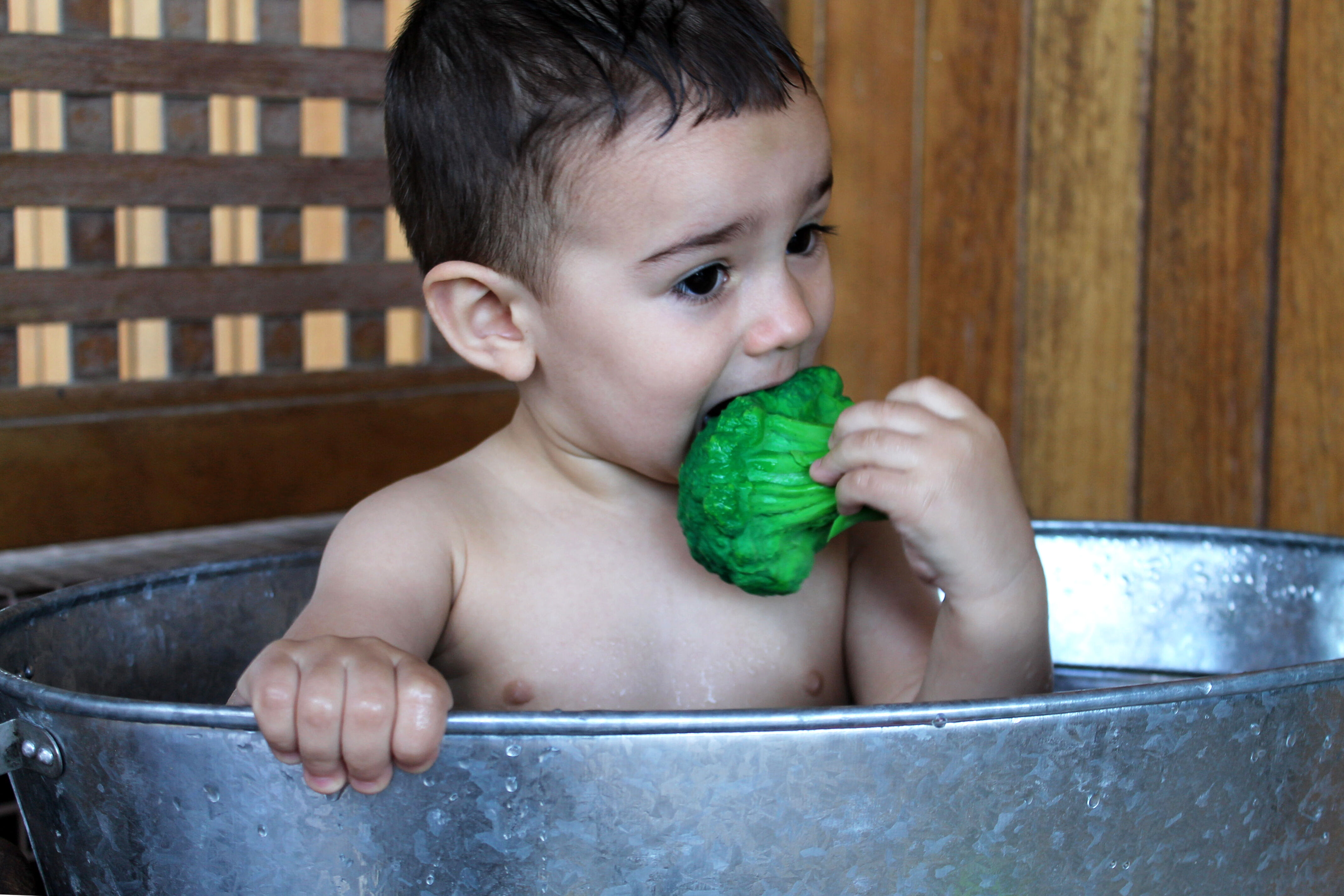 Oli & Carol Brucy The Broccoli image number 5