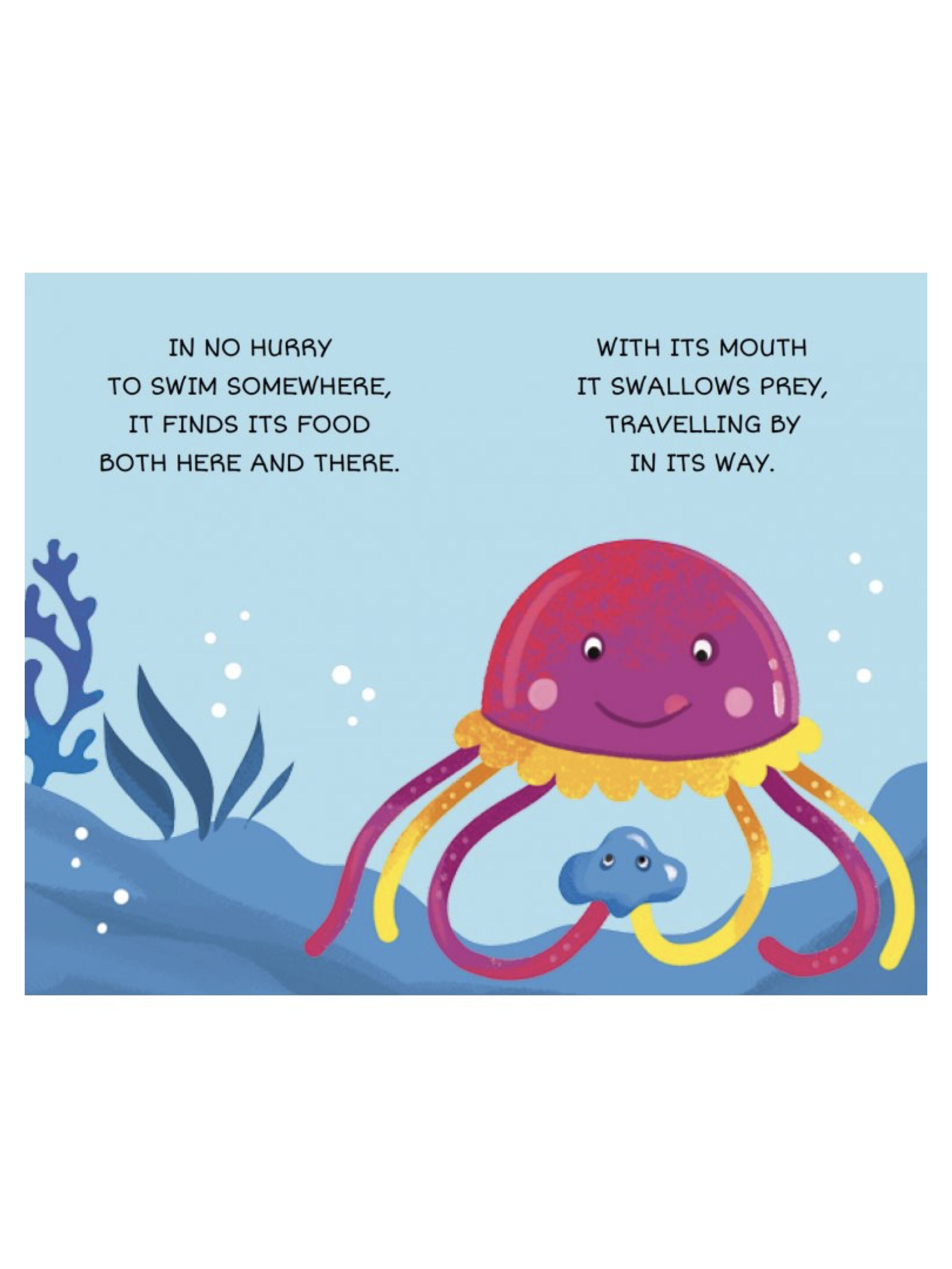 Sassi My First Library - The Sea image number 3