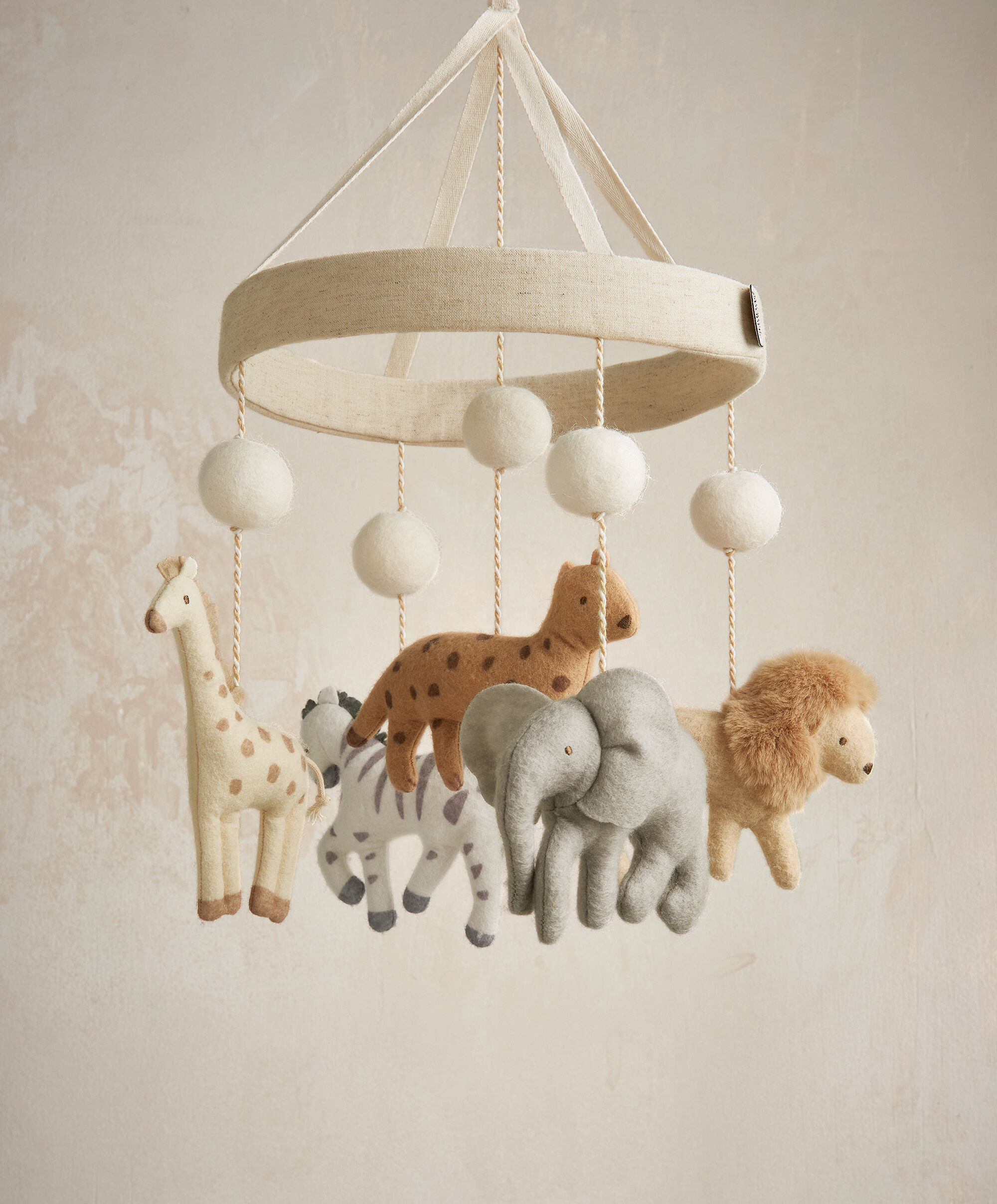 Cot Mobile - Born To Be Wild