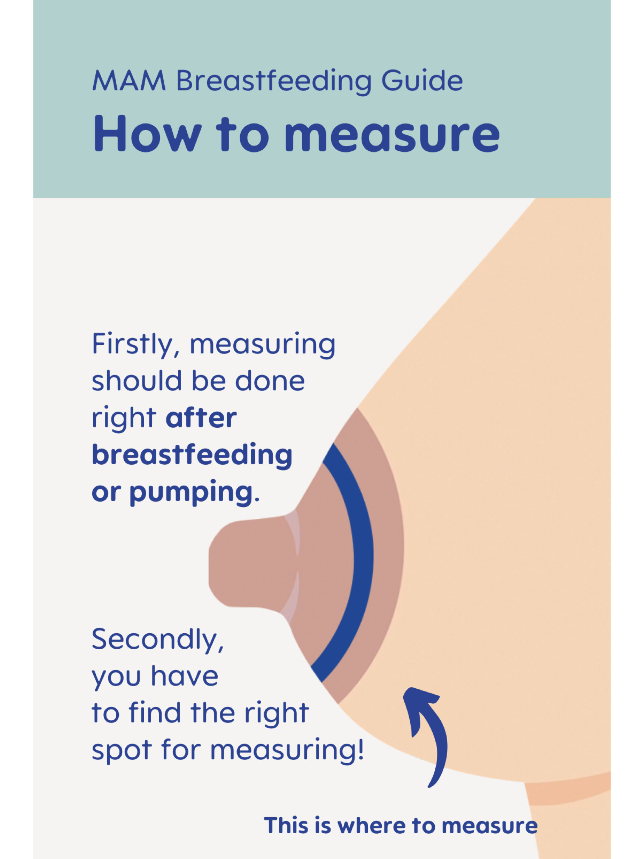 Mam Baby Nipple Shield  Breastfeeding - 0 M+ | Clear  Clear  - Size- L | Pack of 3 image number 6