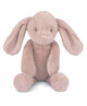 Pink Bunny Soft Toy image number 1