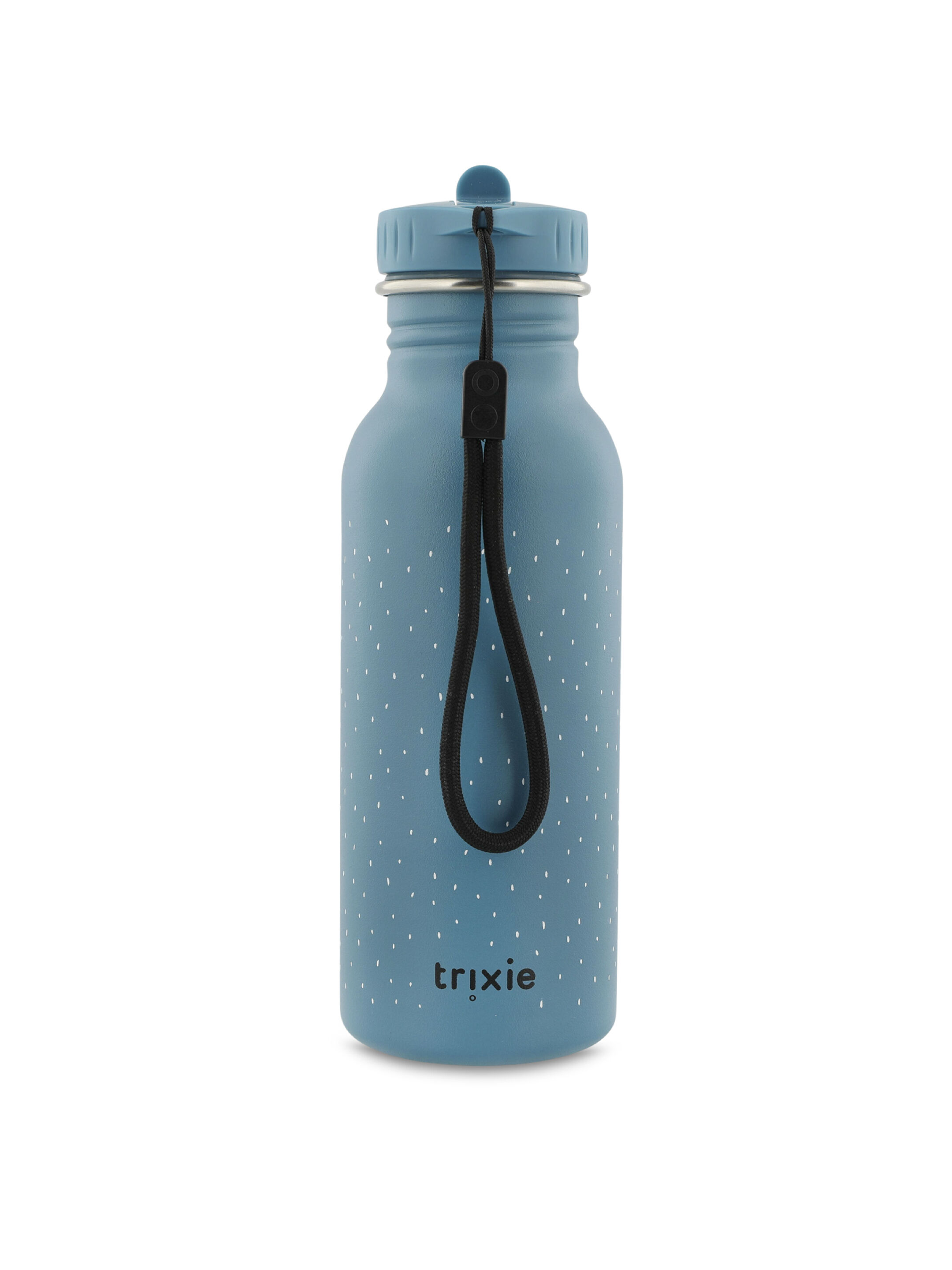 Trixie Stainless Steel Water Bottle - 500ml - Mr. Triceratops image number 5