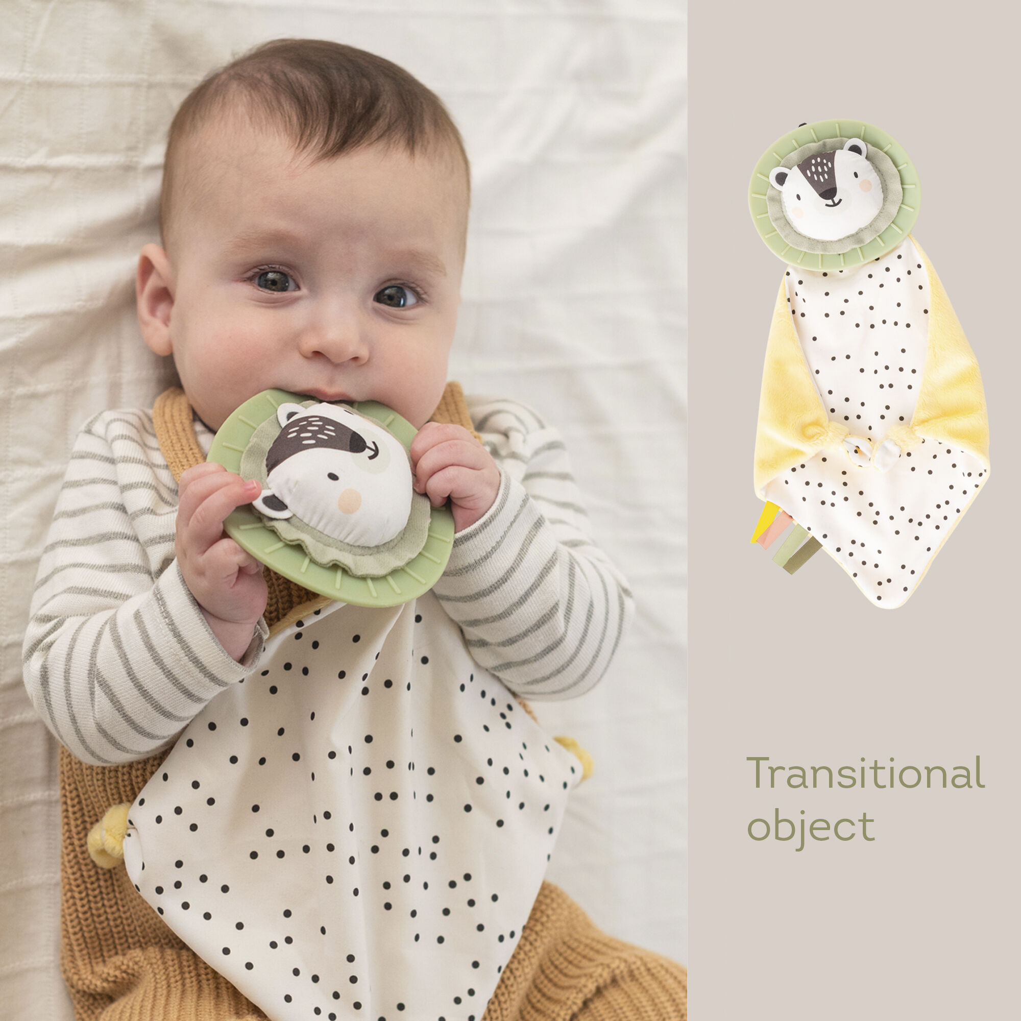 Taf Toys Newborn Develop & Play Kit image number 4