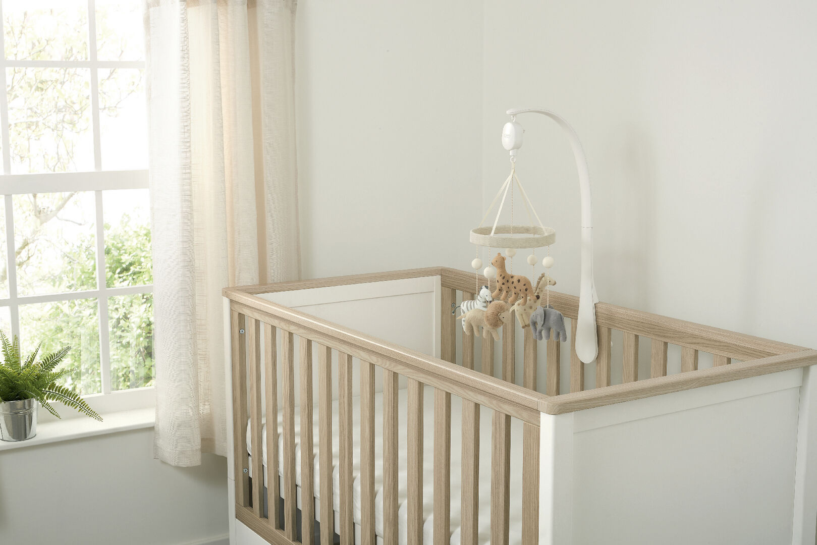 Cot Mobile - Born To Be Wild image number 3