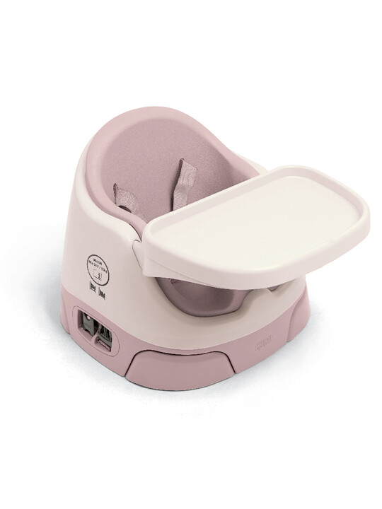 Bug 3-in-1 Floor & Booster Seat with Activity Tray - Blossom image number 2