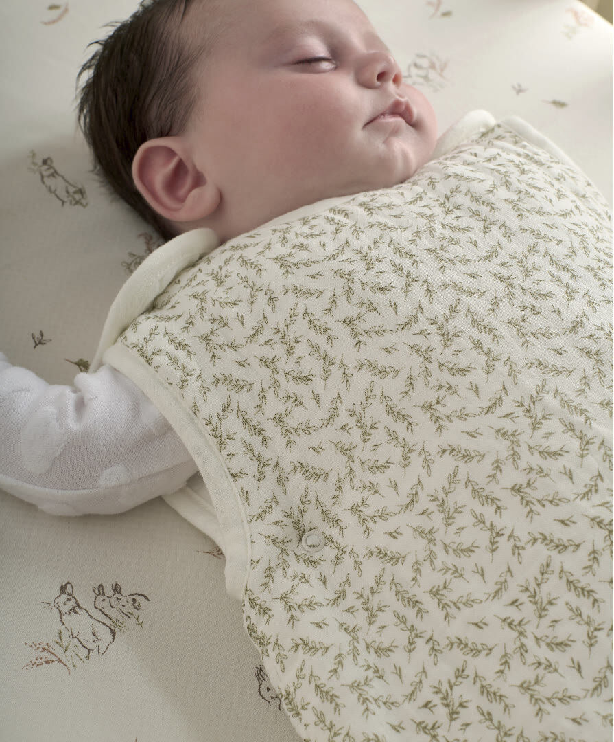 Muslin Dreampod 0-6 months 2.5 Tog - Leaf image number 4