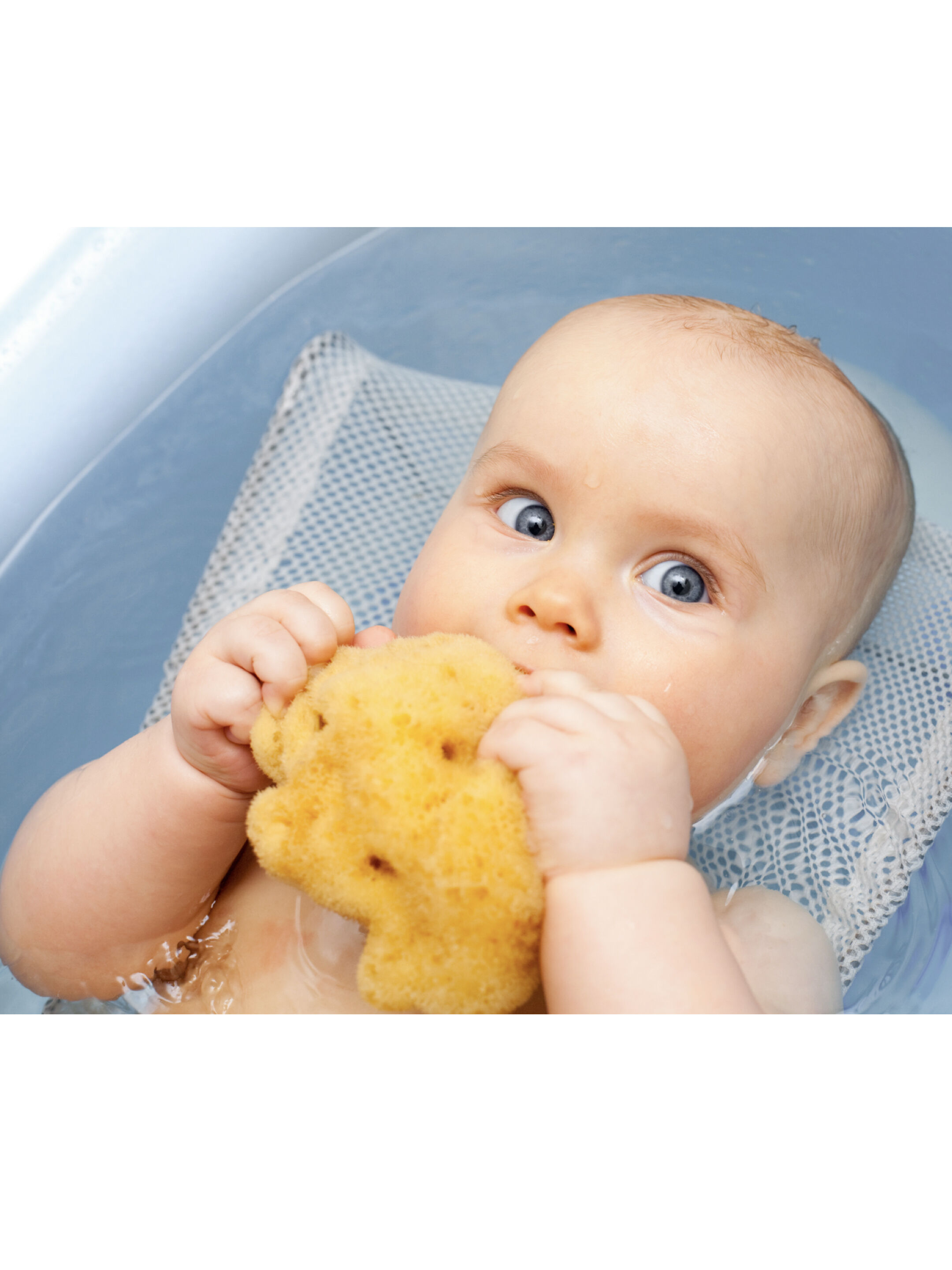 Babu Bellini Premium Fine Silk Sea Sponge 10cm - Natural Baby Bath Sponge image number 2