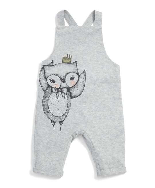 Owl Print Dungaree & Long Sleeved T-Shirt Set image number 5