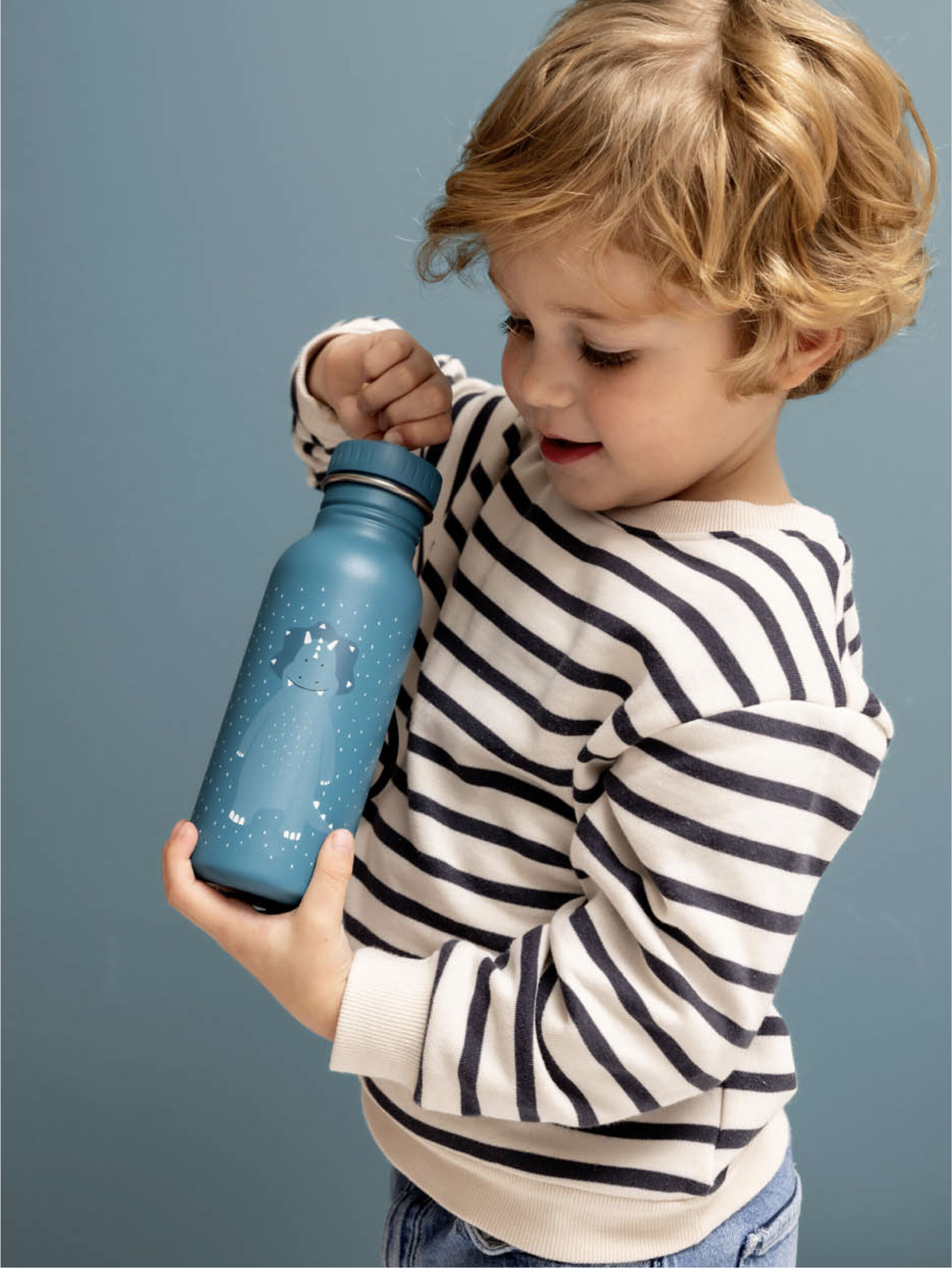 Trixie Stainless Steel Water Bottle - 500ml - Mr. Triceratops image number 1